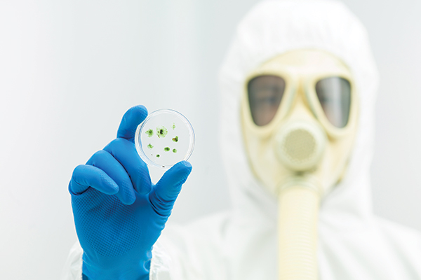 Mold Testing
